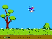 Duck Hunt